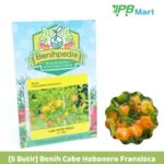 Daftar Habanero XL: Varian Terbesar Cabai Habanero Tersedia